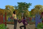 The Sims 2 Mansion & Garden Stuff (PC)