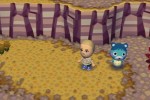 Animal Crossing: City Folk (Wii)