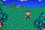 Animal Crossing: City Folk (Wii)