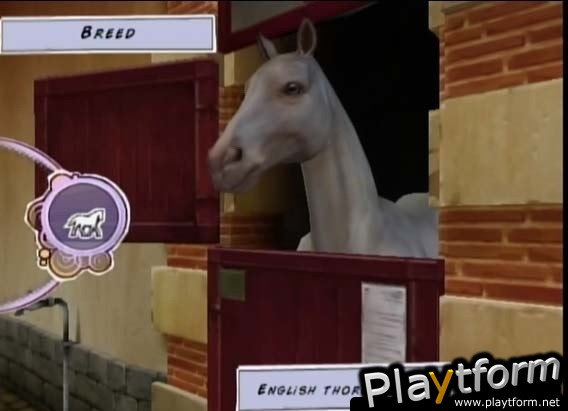 Horse Life Adventures (Wii)