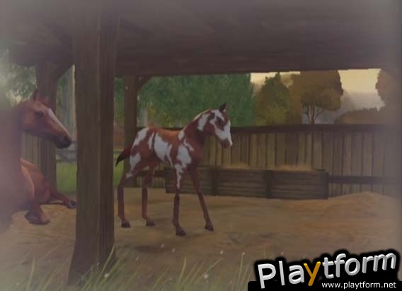 Horse Life Adventures (Wii)