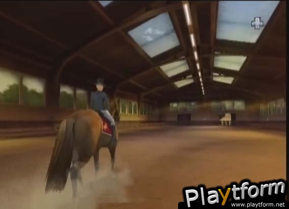 Horse Life Adventures (Wii)