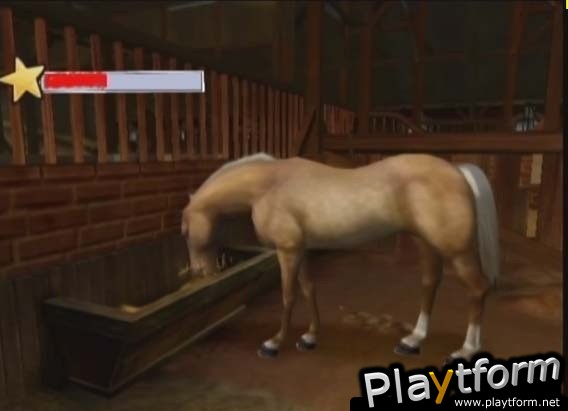 Horse Life Adventures (Wii)