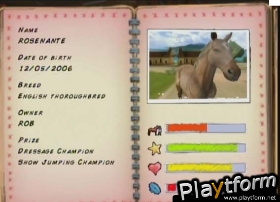 Horse Life Adventures (Wii)