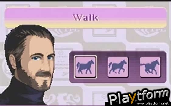 Horse Life Adventures (DS)