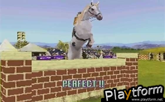 Horse Life Adventures (DS)