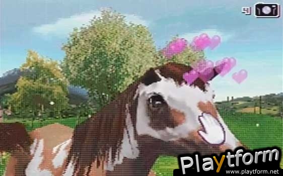 Horse Life Adventures (DS)