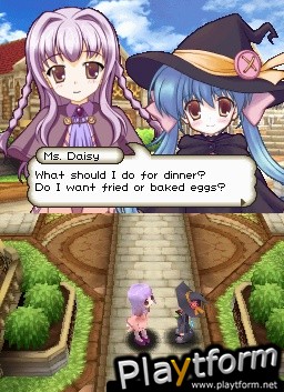 Witch's Wish (DS)