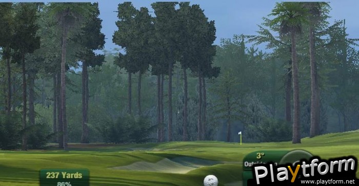 Tiger Woods PGA Tour 11 (Wii)