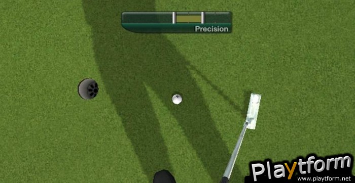 Tiger Woods PGA Tour 11 (Wii)