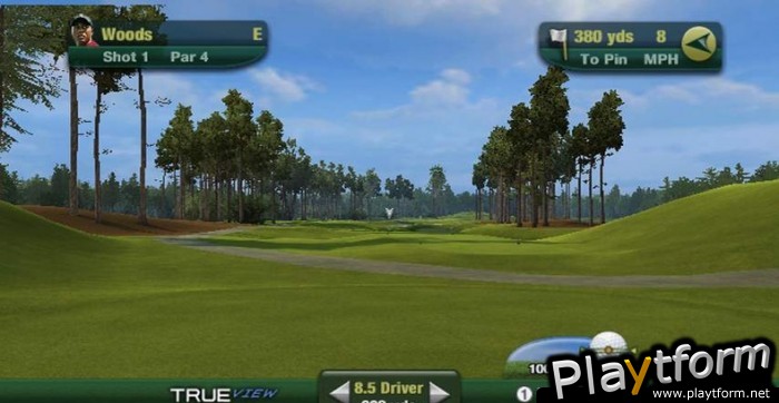 Tiger Woods PGA Tour 11 (Wii)