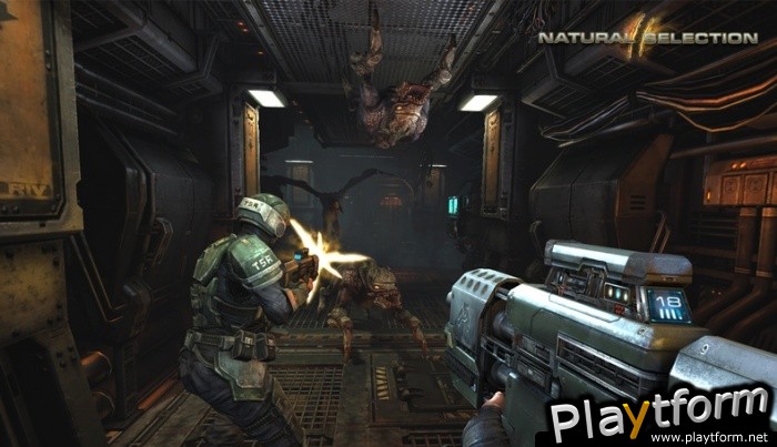 Natural Selection 2 (PC)