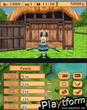 Monster Rancher (DS)