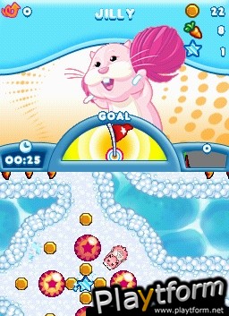 Zhu Zhu Pets (DS)