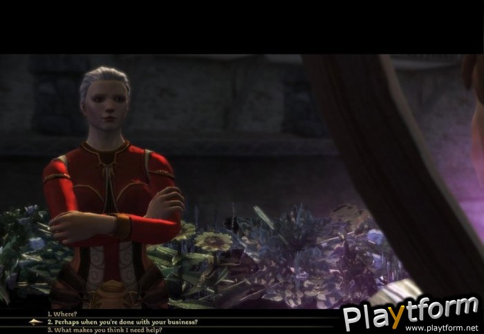 Dragon Age: Origins - Awakening (PC)