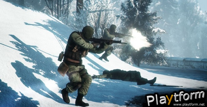 Battlefield: Bad Company 2 (PC)