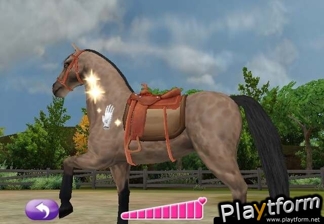 Pony Friends 2 (Wii)