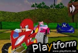 Sonic & Sega All-Stars Racing (DS)