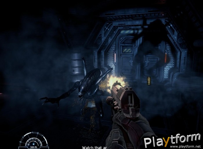 Aliens vs. Predator (PC)