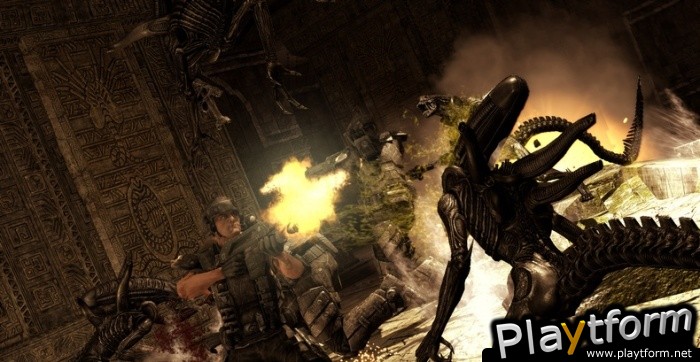 Aliens vs. Predator (PC)