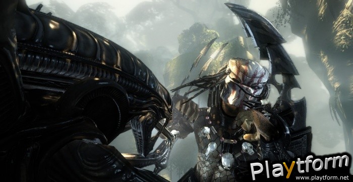 Aliens vs. Predator (PC)