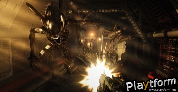 Aliens vs. Predator (PC)