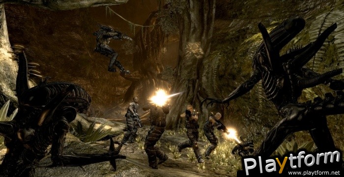 Aliens vs. Predator (PC)