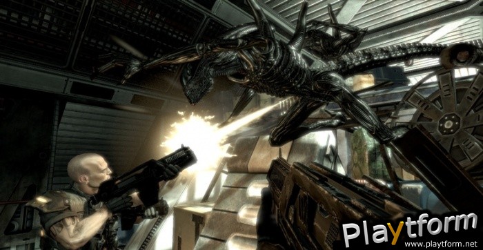 Aliens vs. Predator (PC)