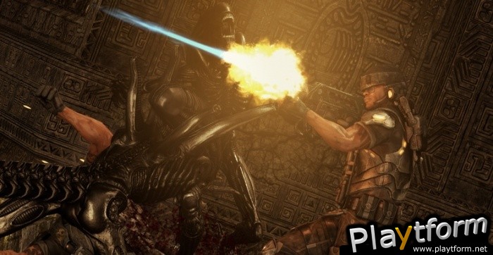 Aliens vs. Predator (PlayStation 3)