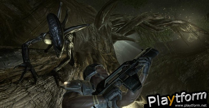 Aliens vs. Predator (Xbox 360)