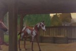 Horse Life Adventures (Wii)