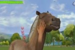 Horse Life Adventures (Wii)