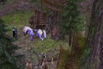 Dawn of Fantasy (PC)