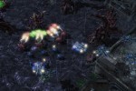 Starcraft II: Wings of Liberty (PC)