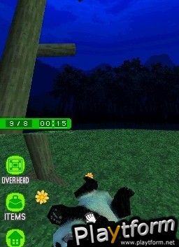 National Geographic Panda (DS)