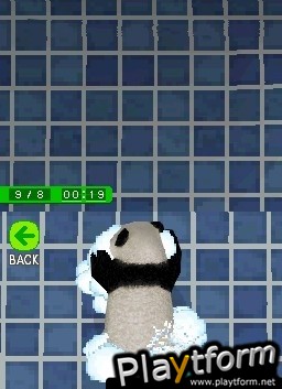 National Geographic Panda (DS)