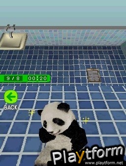 National Geographic Panda (DS)