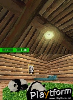 National Geographic Panda (DS)