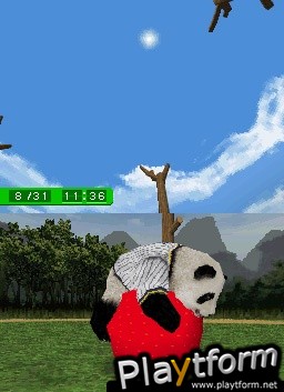 National Geographic Panda (DS)