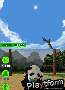 National Geographic Panda (DS)