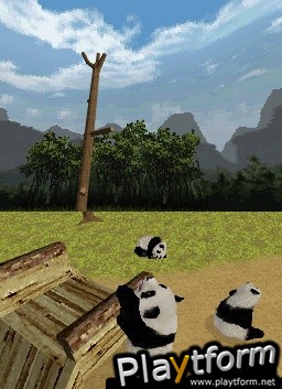 National Geographic Panda (DS)