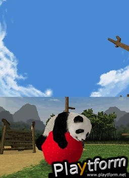 National Geographic Panda (DS)