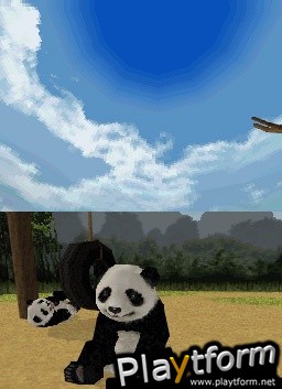 National Geographic Panda (DS)