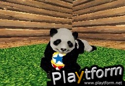 National Geographic Panda (DS)