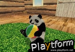 National Geographic Panda (DS)