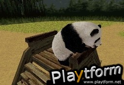 National Geographic Panda (DS)