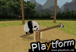 National Geographic Panda (DS)