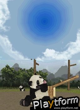 National Geographic Panda (DS)