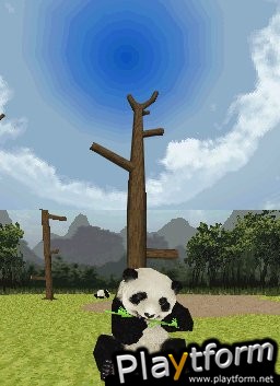 National Geographic Panda (DS)