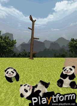 National Geographic Panda (DS)